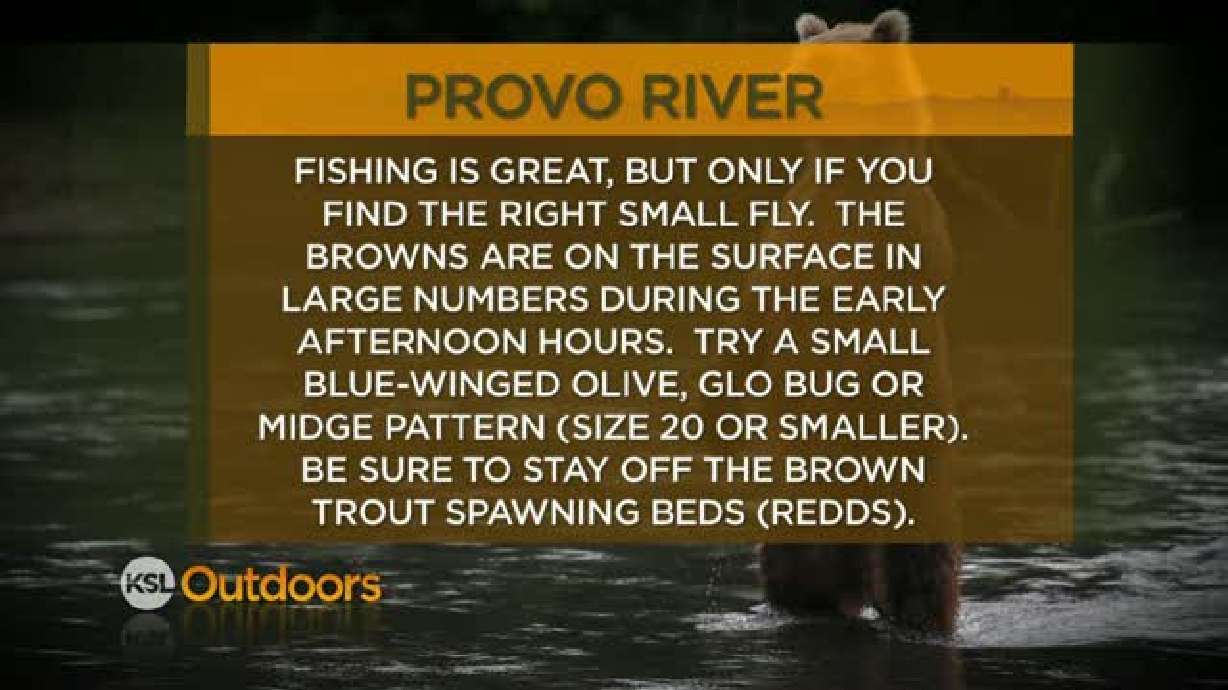 Fishing Line 12/3/2011