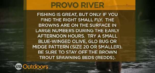 Fishing Line 12/3/2011