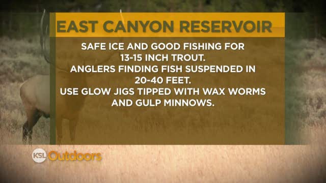 Fishing Line 1/15/2012