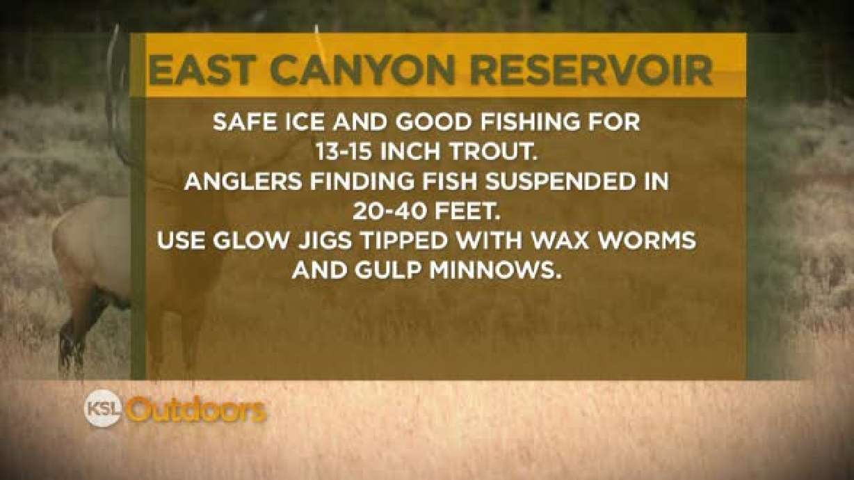 Fishing Line 1/15/2012