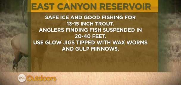 Fishing Line 1/15/2012