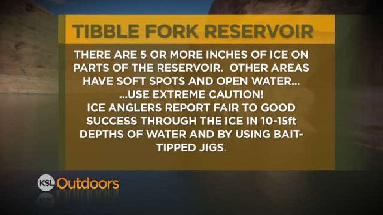 Fishing Line 1/21/2012