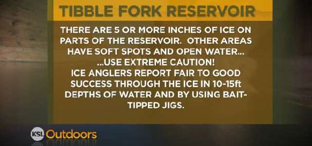 Fishing Line 1/21/2012