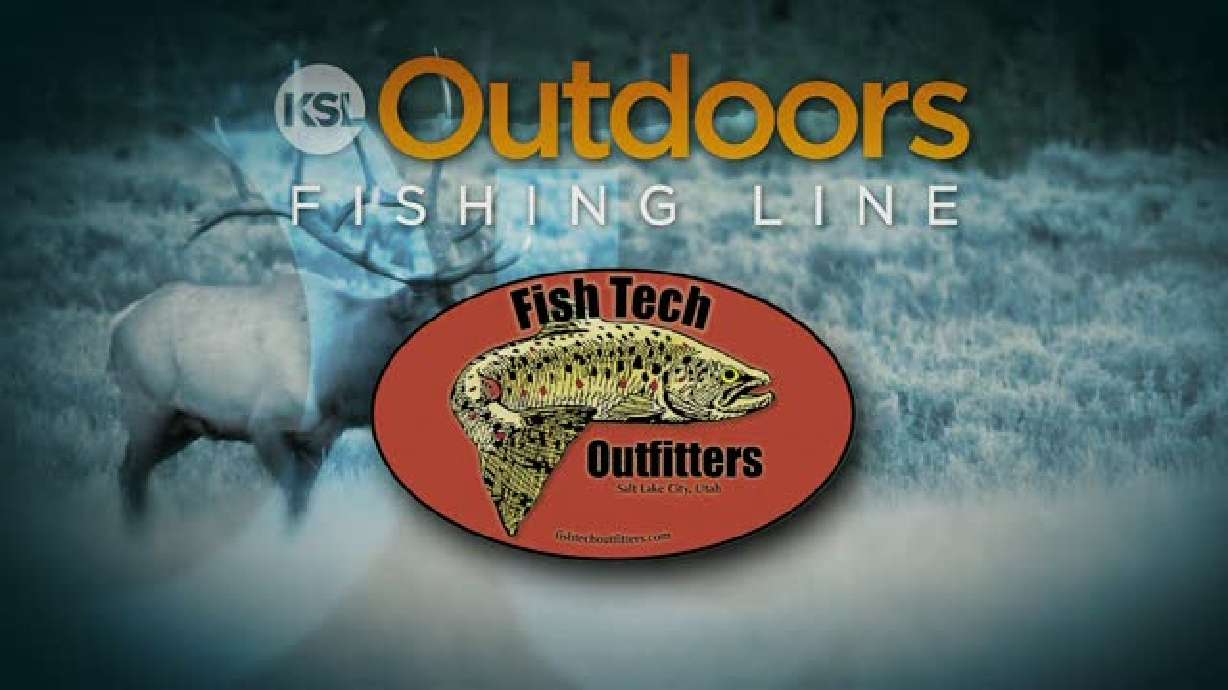 Fishing Line 1/29/2012