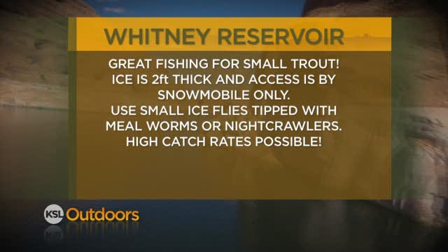 Fishing Line for 2/18/2012