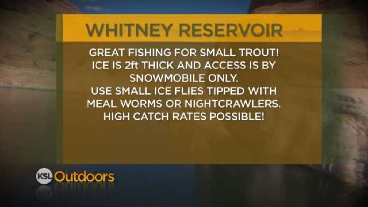 Fishing Line for 2/18/2012