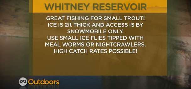 Fishing Line for 2/18/2012