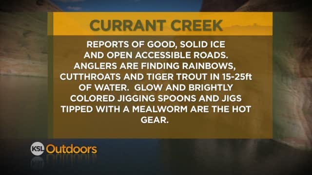 Fishing Line for 2/25