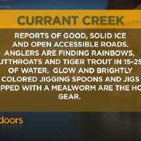 Fishing Line for 2/25