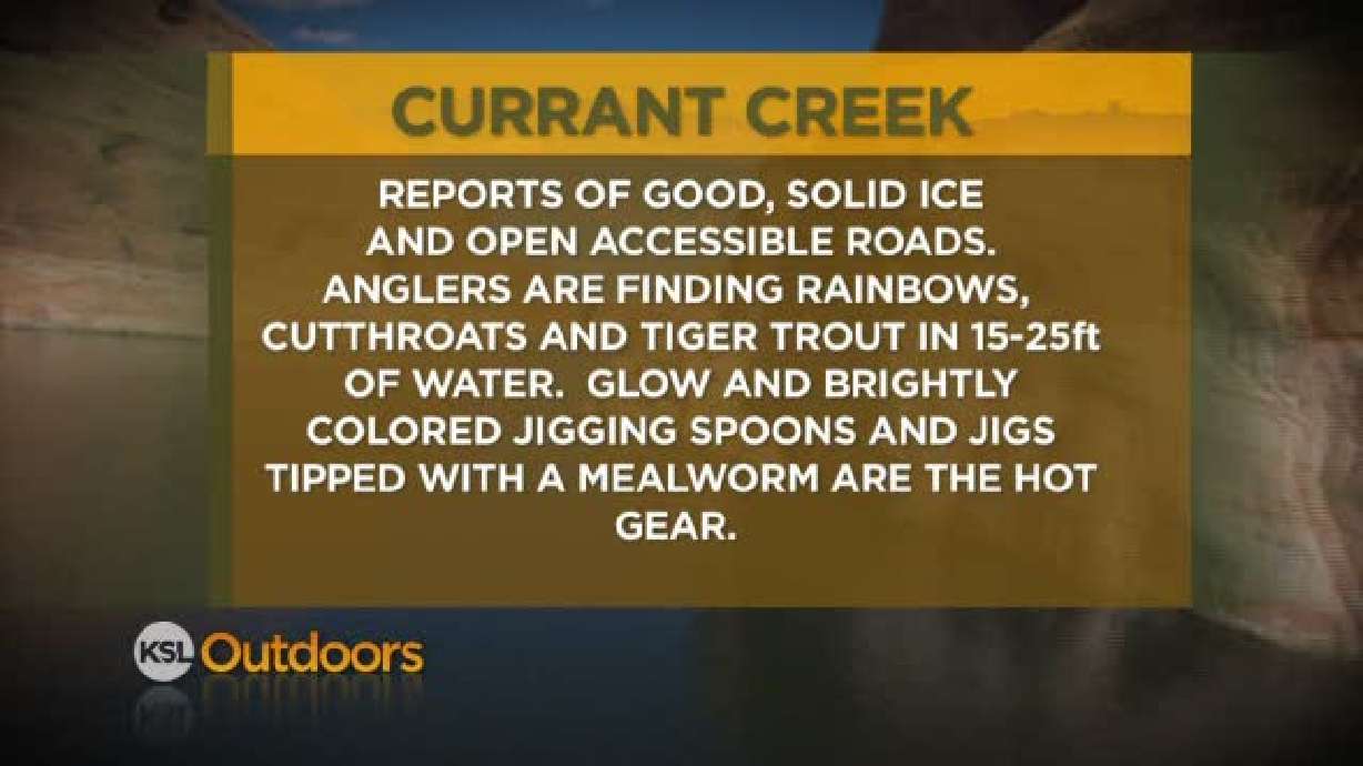 Fishing Line for 2/25