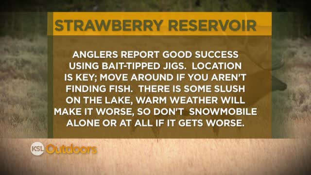 Fishing Line for 3/17/12