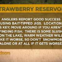 Fishing Line for 3/17/12