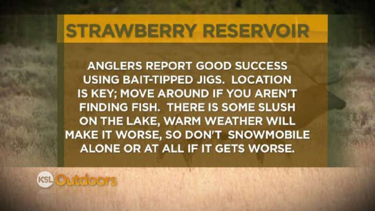 Fishing Line for 3/17/12