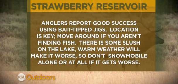 Fishing Line for 3/17/12