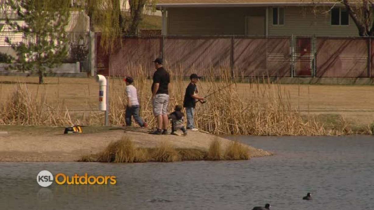 Utah Field Guide - Community fishing ponds