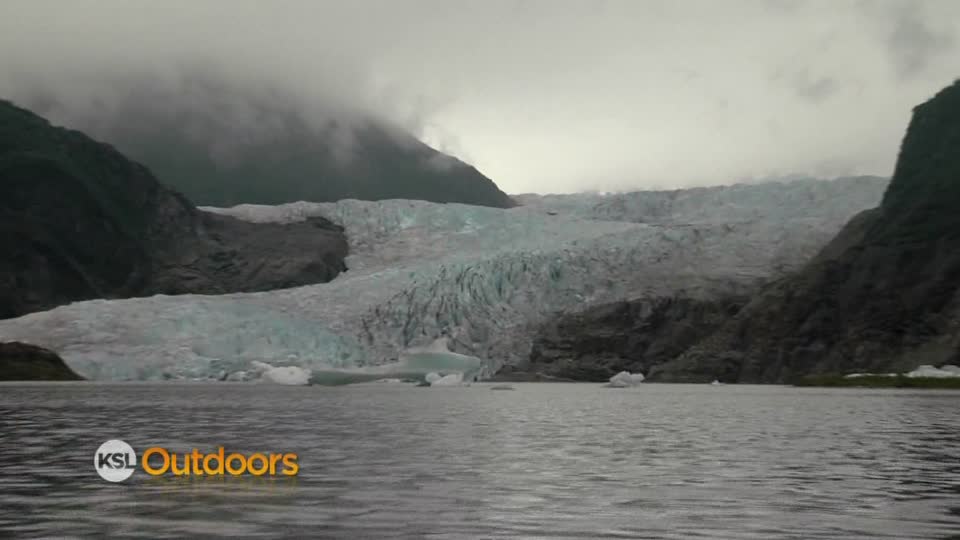 Utah Field Guide - Mendenhall Glacier