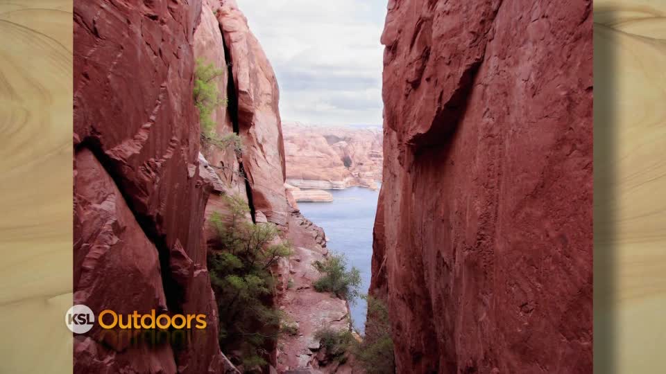Utah Field Guide: Bluff