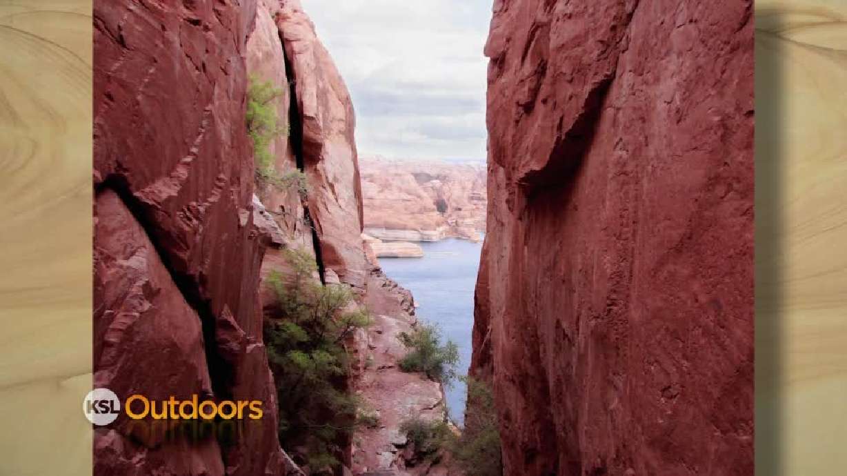 Utah Field Guide: Bluff
