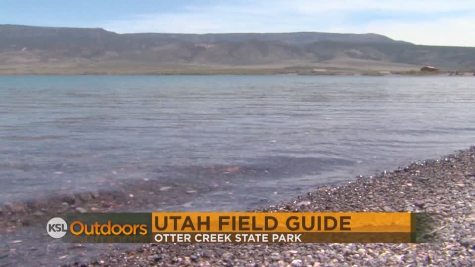 Utah Field Guide: Otter Creek State Park