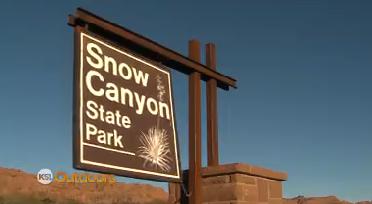 Utah Field Guide: Snow Canyon State Park
