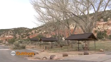 Utah Field Guide: Exploring Escalante Petrified Forest State Park