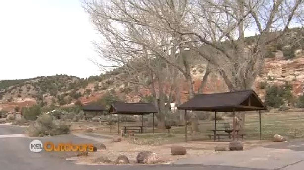 Utah Field Guide: Exploring Escalante Petrified Forest State Park