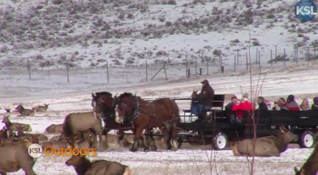 Utah Field Guide: Outdoor Winters