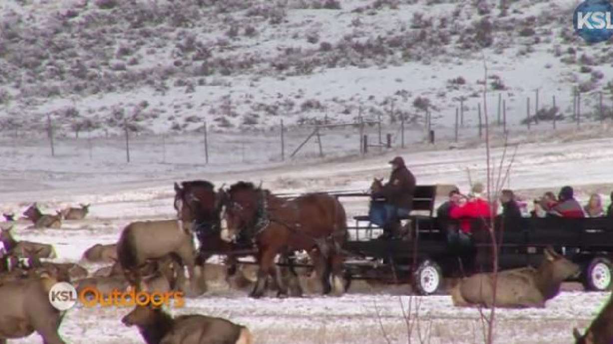 Utah Field Guide: Outdoor Winters