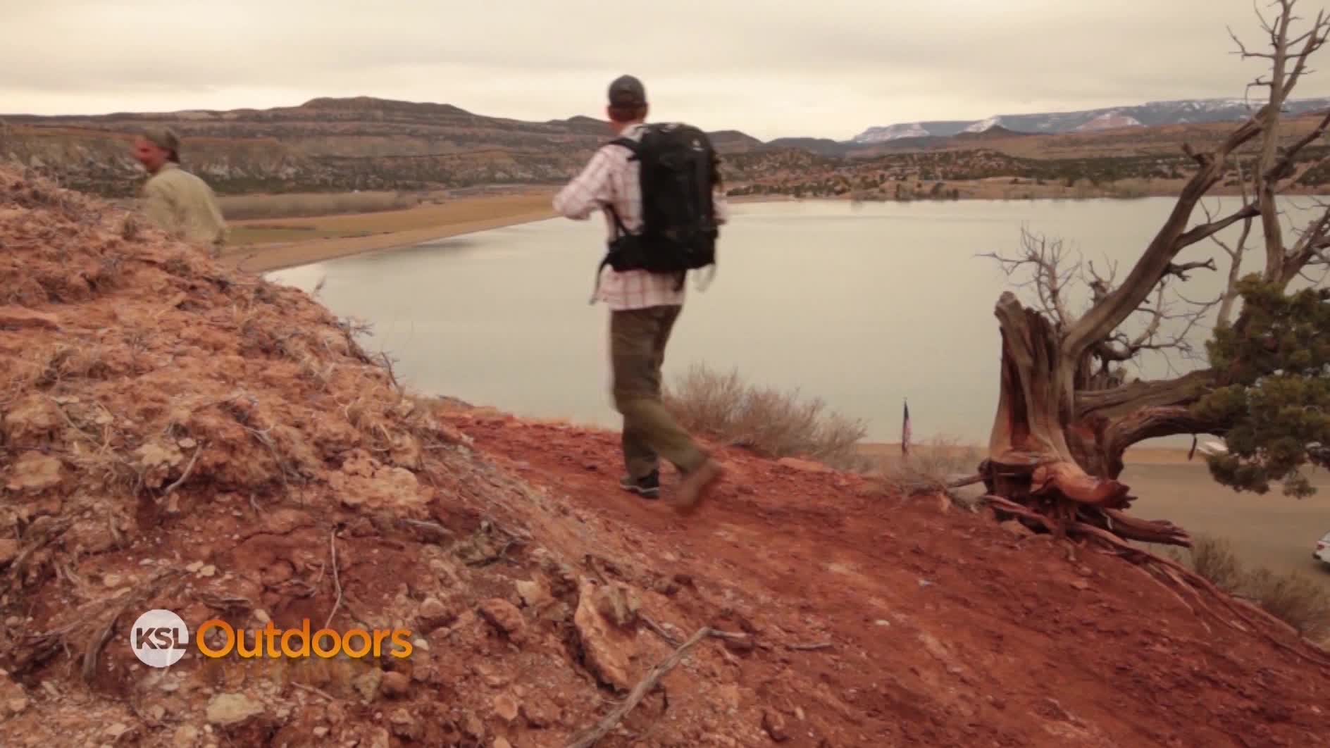 Utah Field Guide: Escalante Petrified Forest