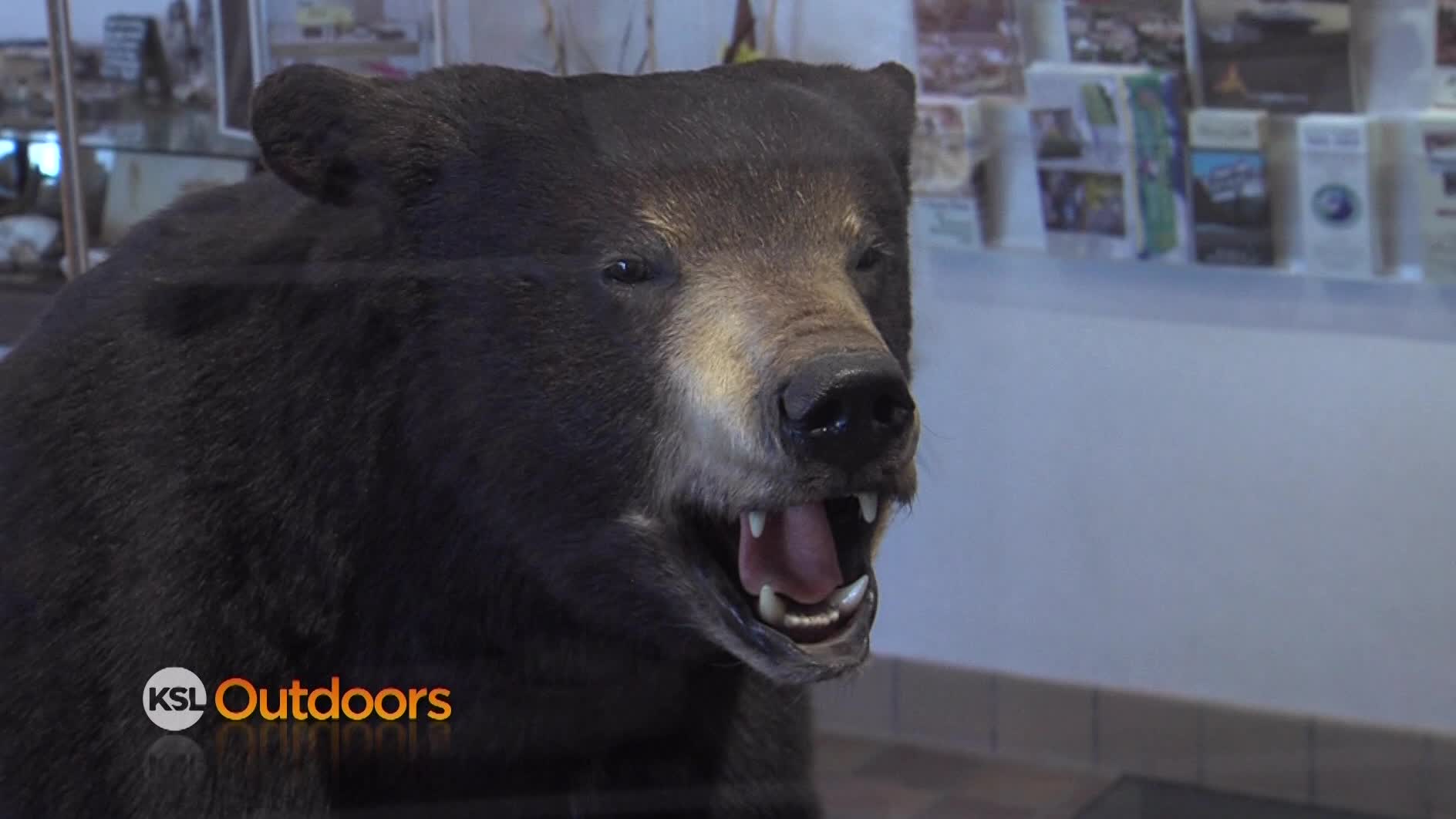 Utah Field Guide: Bear River State Park and Travel Information Center