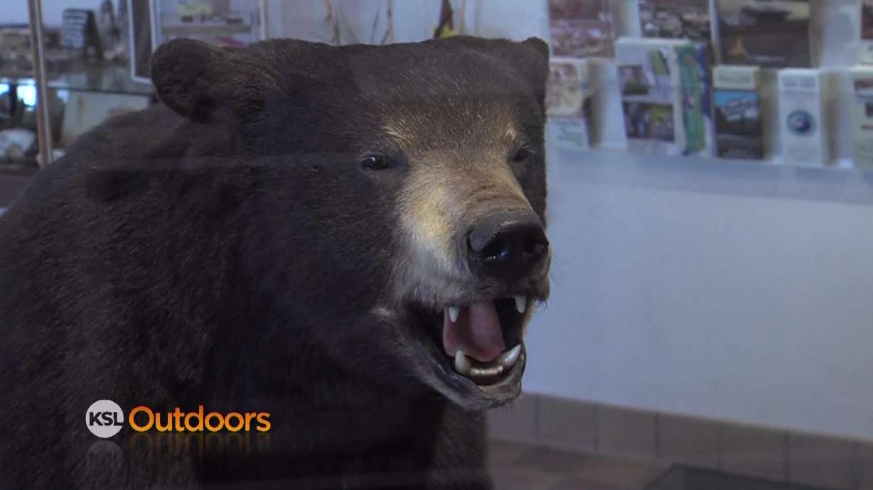 Utah Field Guide: Bear River State Park and Travel Information Center