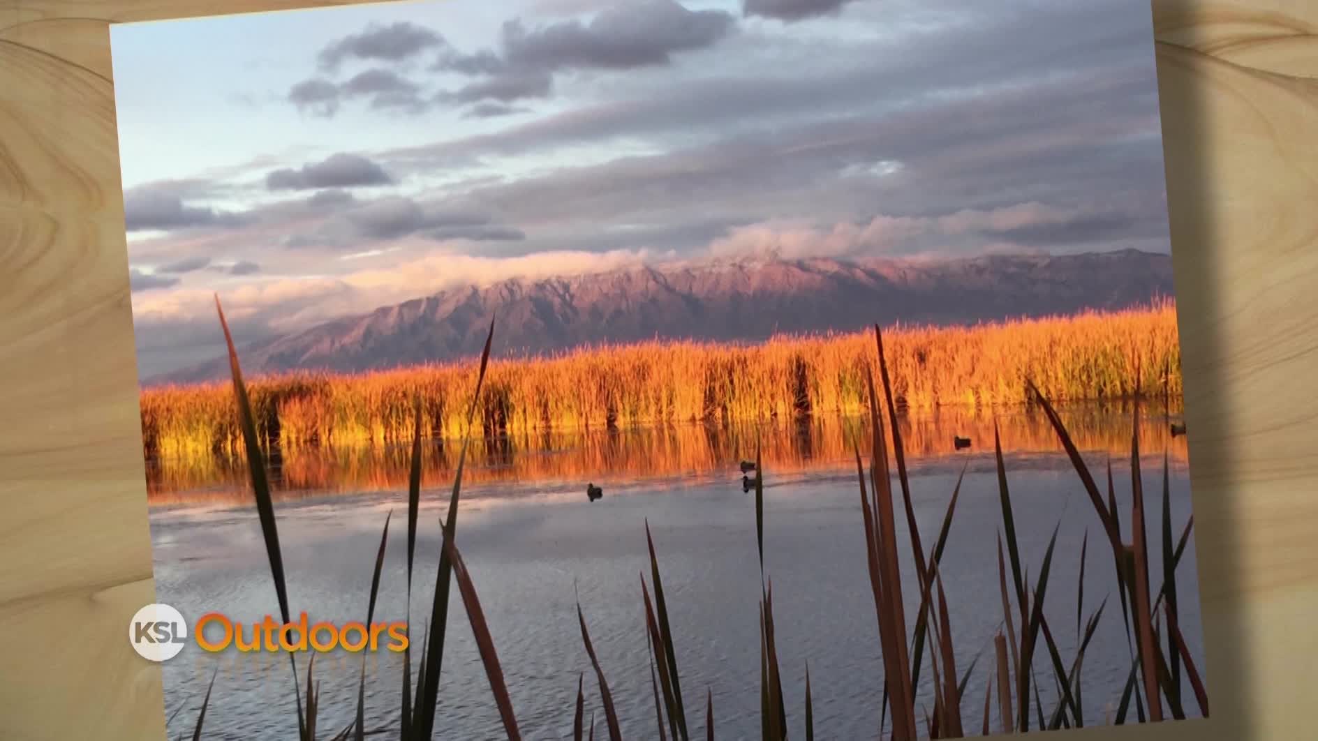 Snapshot of the Week: Dec. 12, 2015