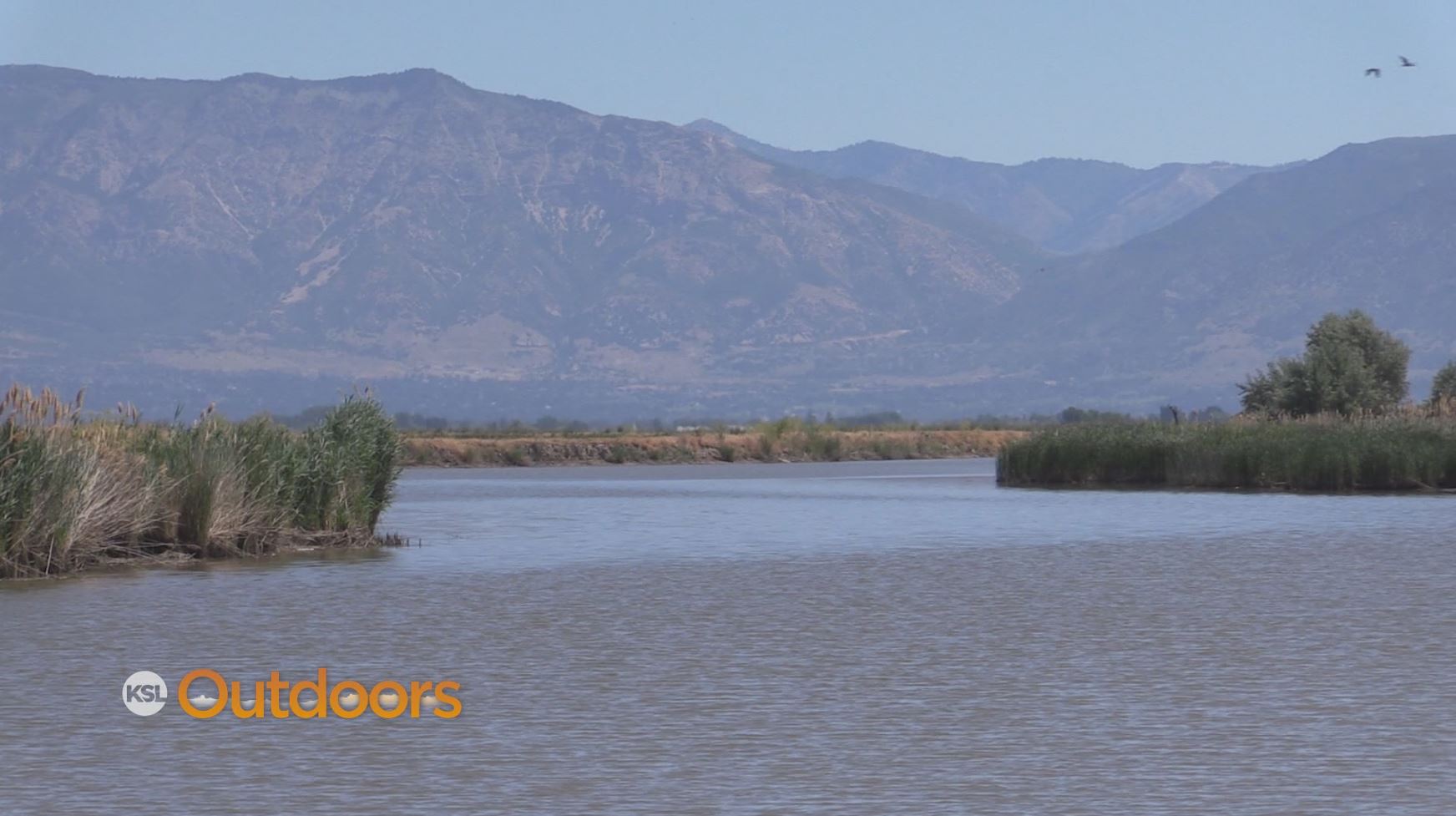 Utah Field Guide: Habitat Council
