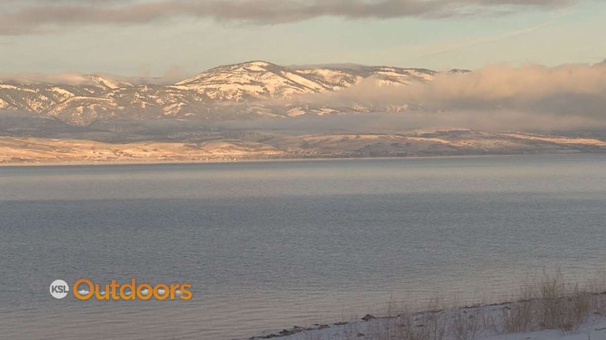 Utah Field Guide: Fishing Bear Lake