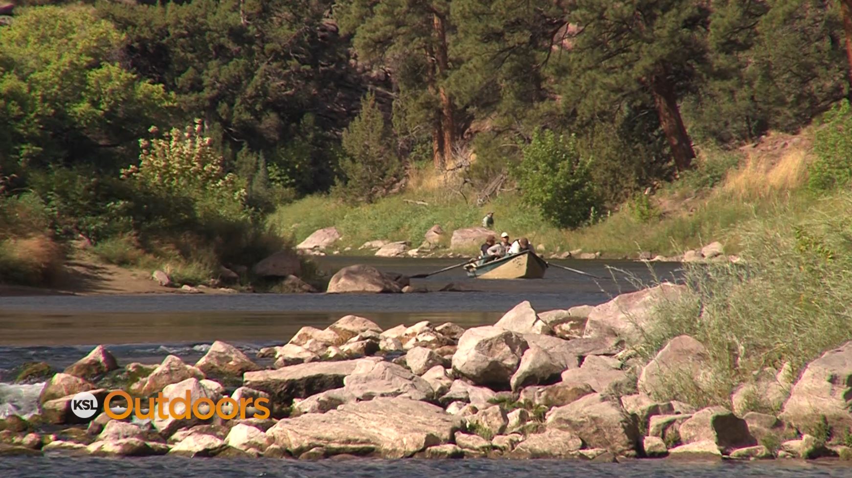 Utah Field Guide: Green River