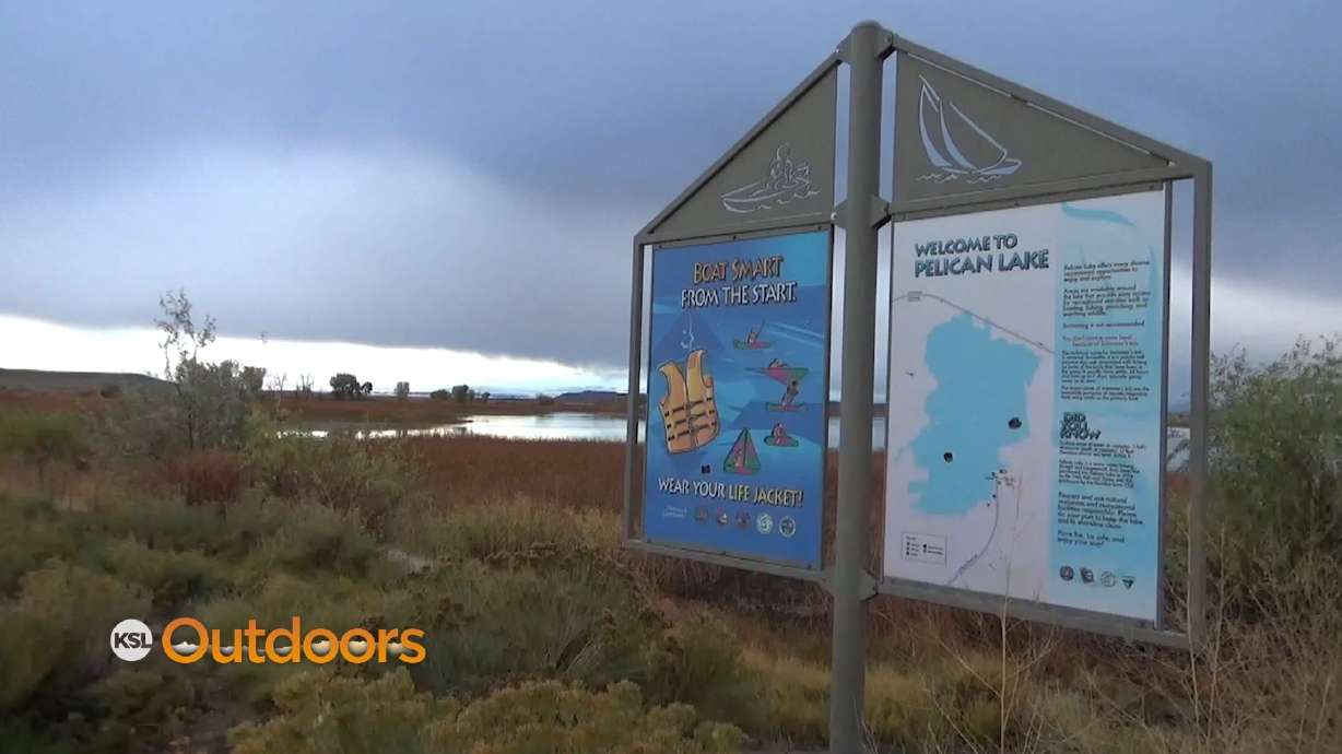 Utah Field Guide: Pelican Lake Reset