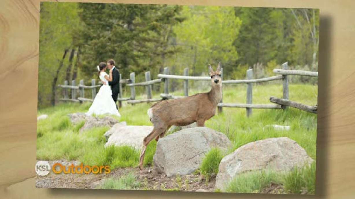 Camp Chef Snapshot of the Week - 06/9/2012