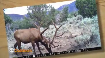 Campchef Snapshot of the Week: Aug. 2, 2014