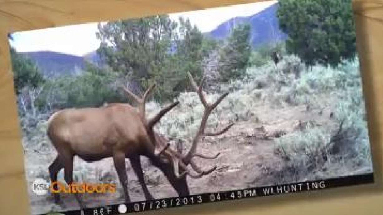 Campchef Snapshot of the Week: Aug. 2, 2014