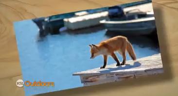 Snapshot of the Week: Oct. 11, 2014