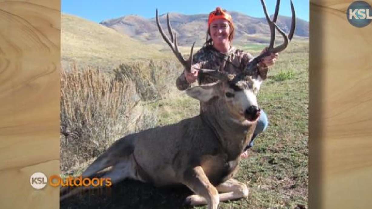 Snapshot of the Week: Dec. 13, 2014