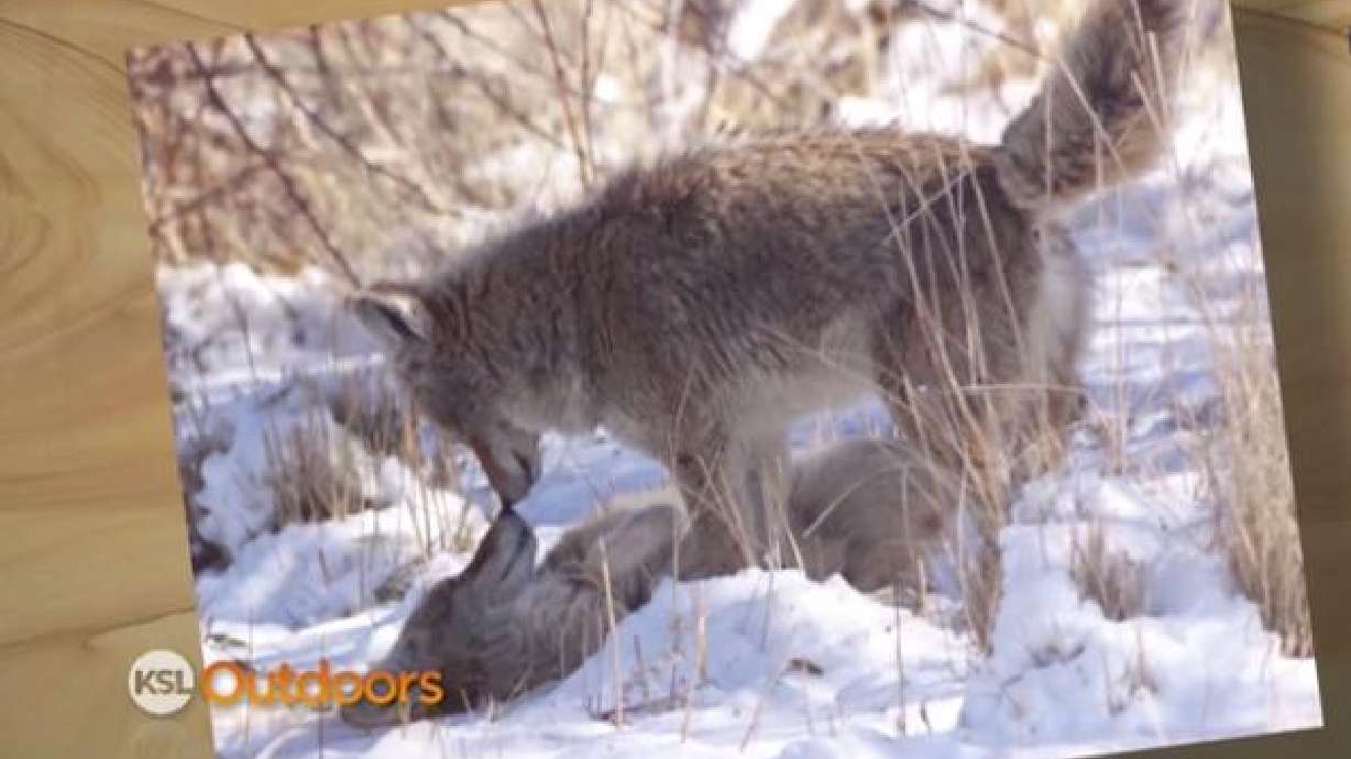 Snapshot of the Week: Jan. 31, 2015