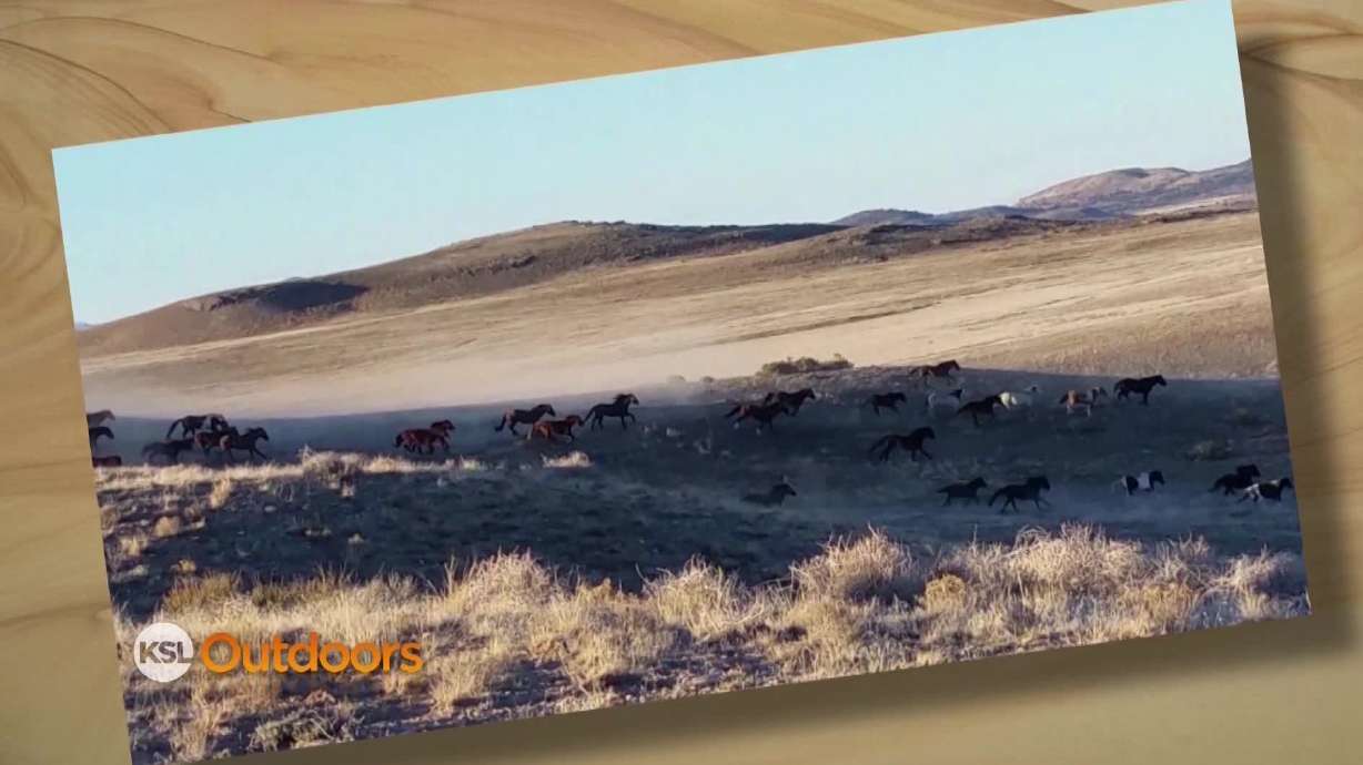 Snapshot of the Week: April 4, 2015