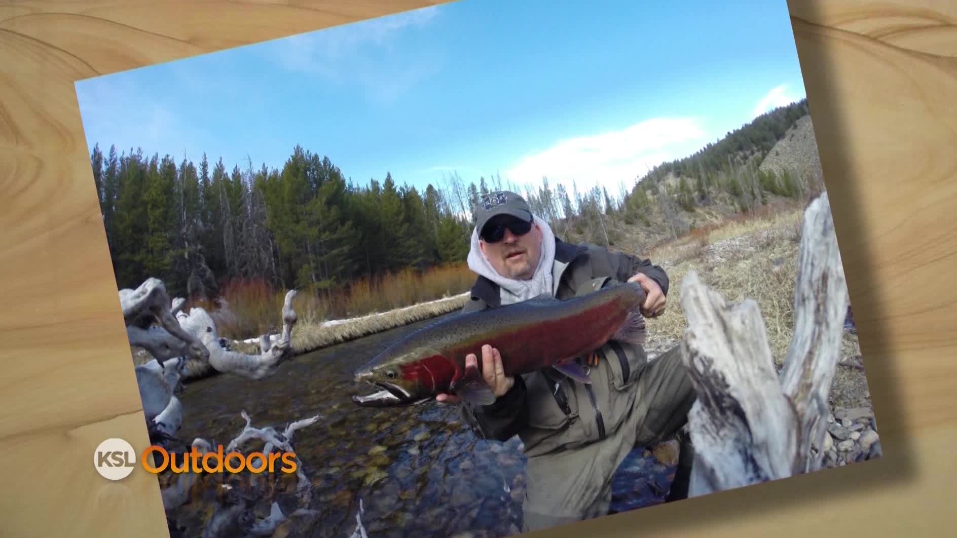Snapshot of the Week: April 18, 2015