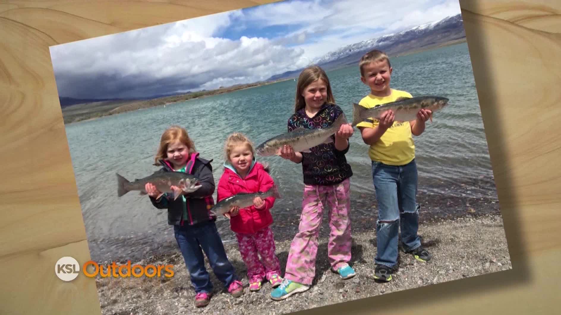 Snapshot of the Week: June 2, 2015