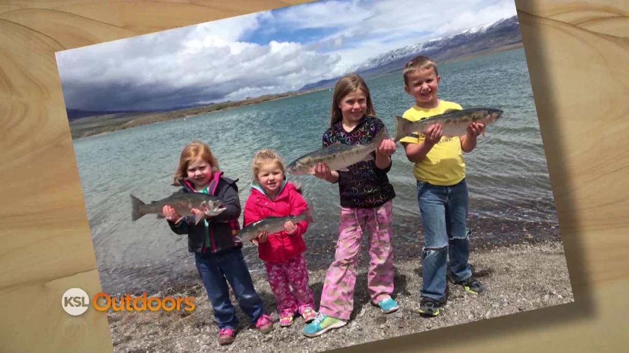 Snapshot of the Week: June 2, 2015