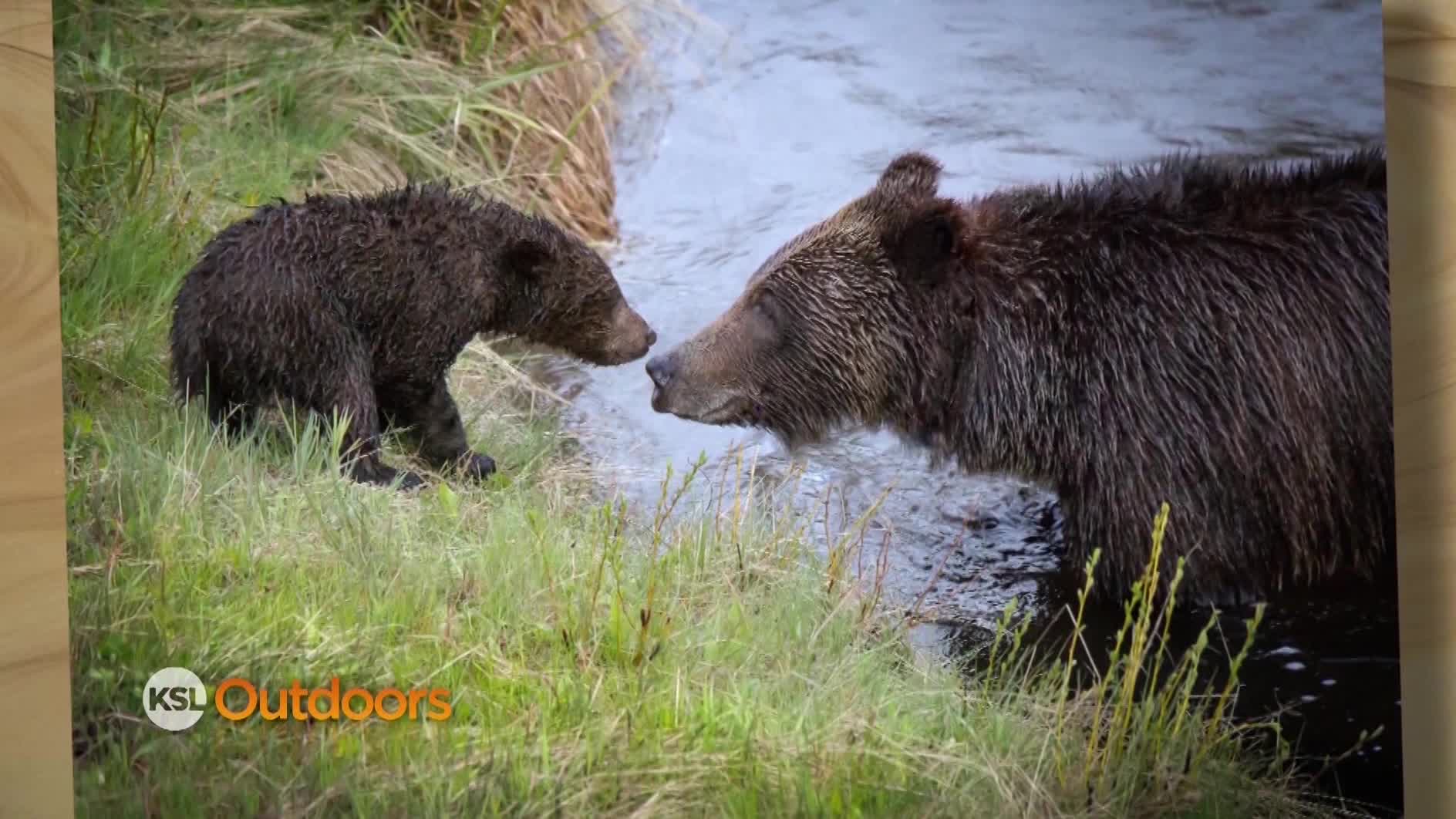 Snapshot of the Week: June 14, 2015