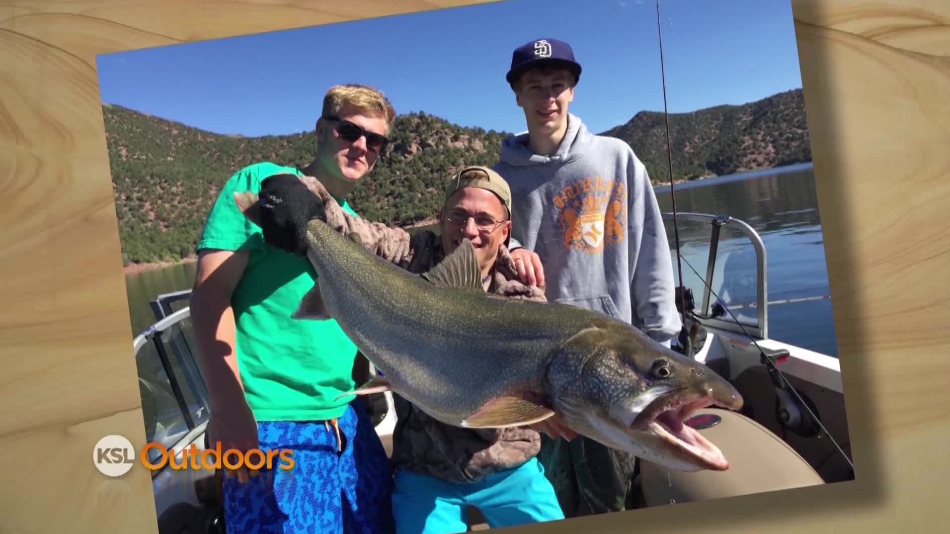Snapshot of the Week: July 25, 2015