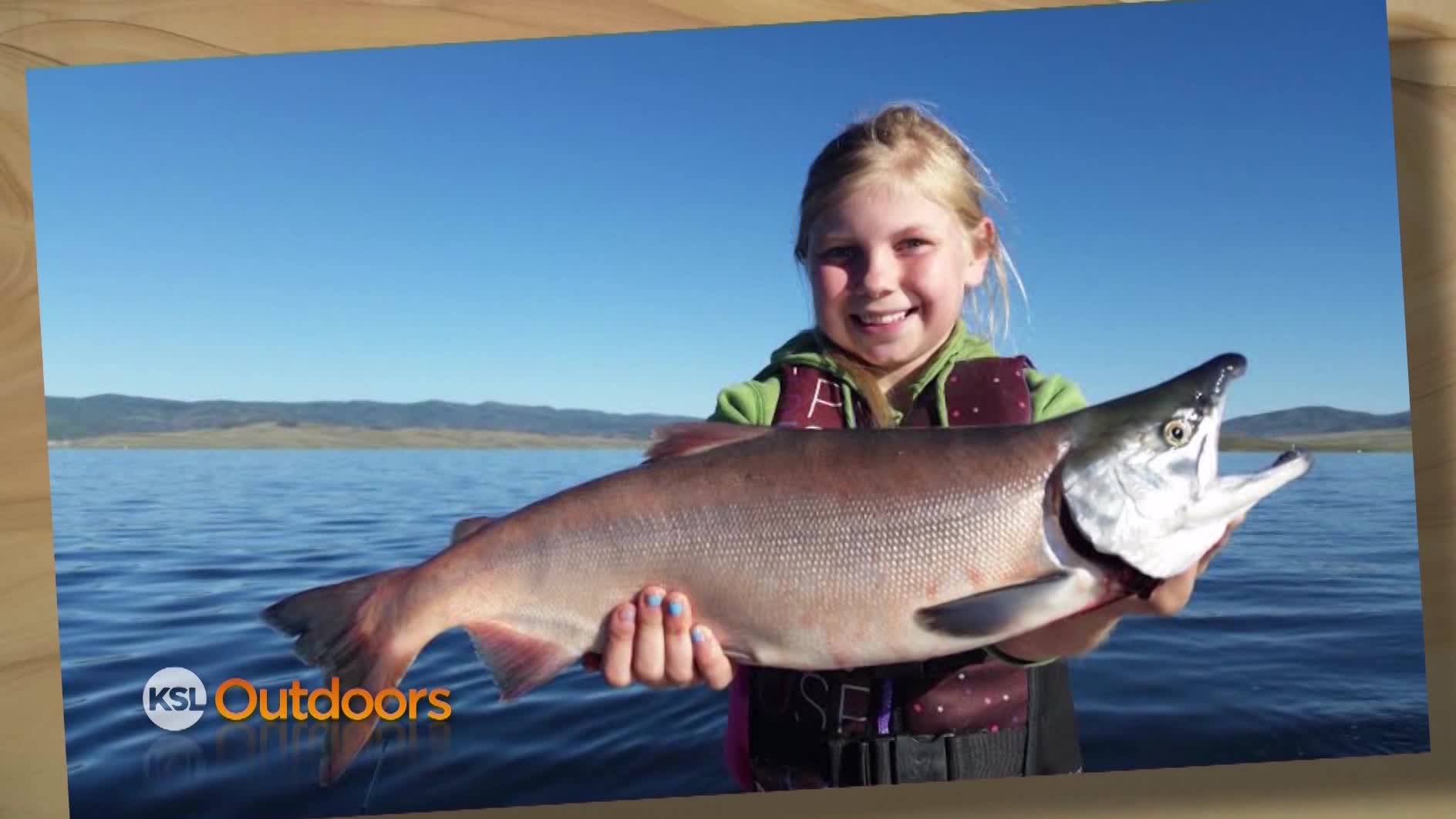 Snapshot of the Week: Aug. 8, 2015