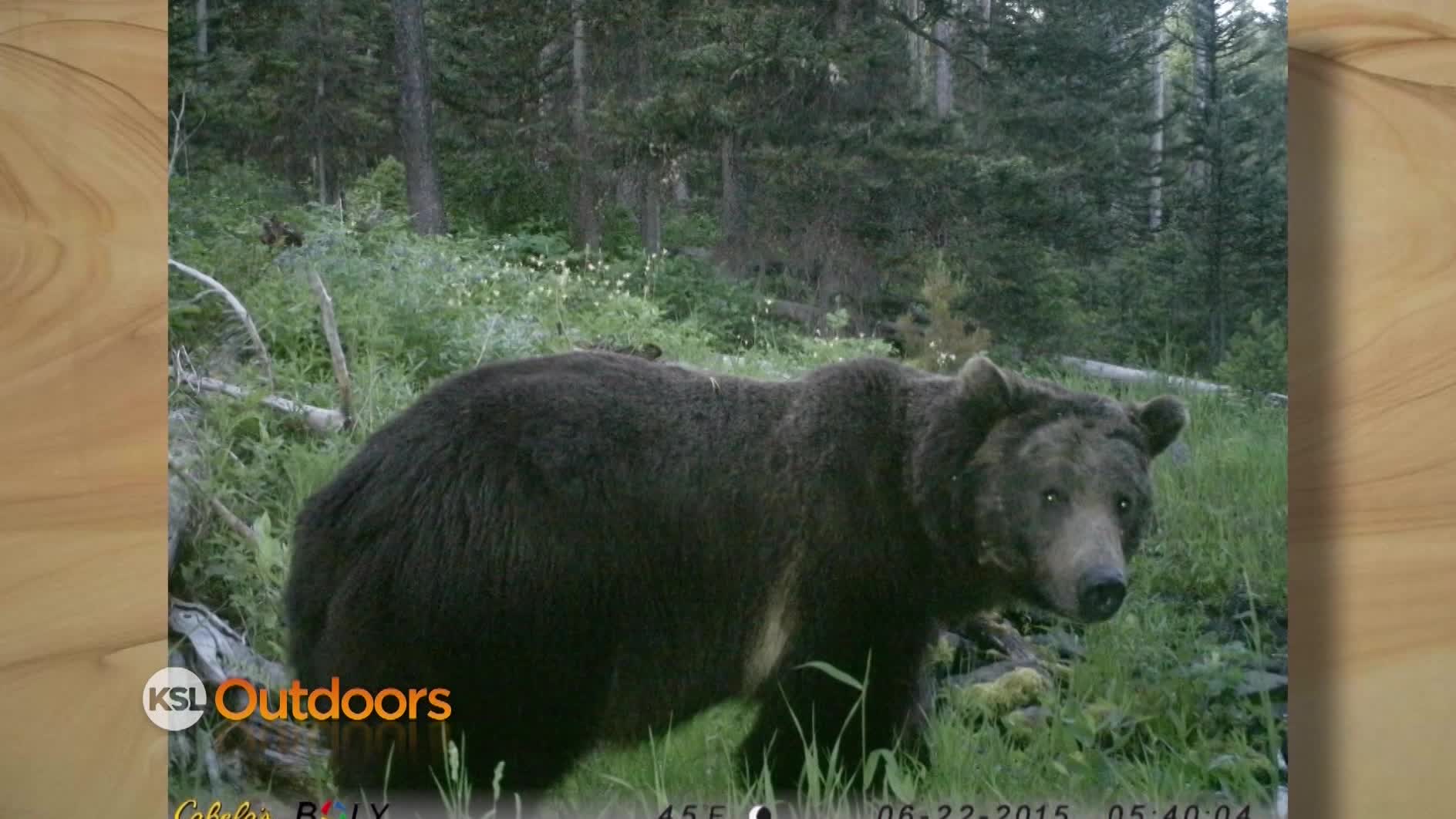 Snapshot of the Week: Aug. 22, 2015